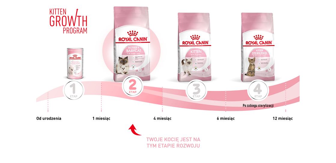ROYAL CANIN Mother&Babycat karma sucha dla kotek w okresie ciąży, laktacji i kociąt od 1. do 4. miesiąca życia 4 kg