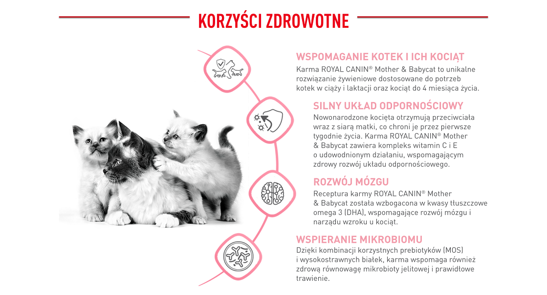 ROYAL CANIN Mother&Babycat karma sucha dla kotek w okresie ciąży, laktacji i kociąt od 1. do 4. miesiąca życia 4 kg