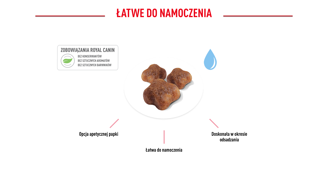 ROYAL CANIN Mother&Babycat karma sucha dla kotek w okresie ciąży, laktacji i kociąt od 1. do 4. miesiąca życia 4 kg