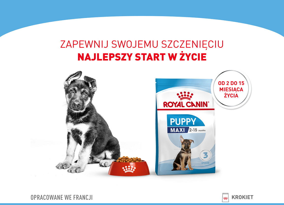 ROYAL CANIN Maxi Puppy 15 kg karma sucha dla szczeniąt, od 2 do 15 miesiąca życia, ras dużych