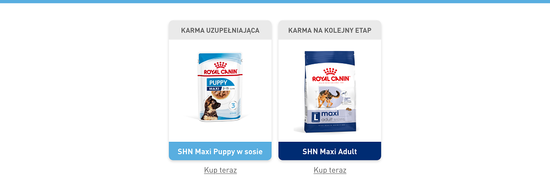 ROYAL CANIN Maxi Puppy 15 kg karma sucha dla szczeniąt, od 2 do 15 miesiąca życia, ras dużych