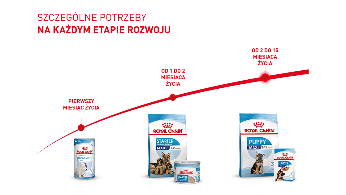 ROYAL CANIN Maxi Puppy 15 kg karma sucha dla szczeniąt, od 2 do 15 miesiąca życia, ras dużych