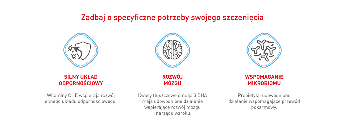ROYAL CANIN Maxi Puppy 15 kg karma sucha dla szczeniąt, od 2 do 15 miesiąca życia, ras dużych