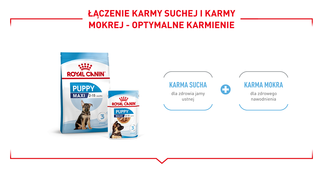 ROYAL CANIN Maxi Puppy 15 kg karma sucha dla szczeniąt, od 2 do 15 miesiąca życia, ras dużych