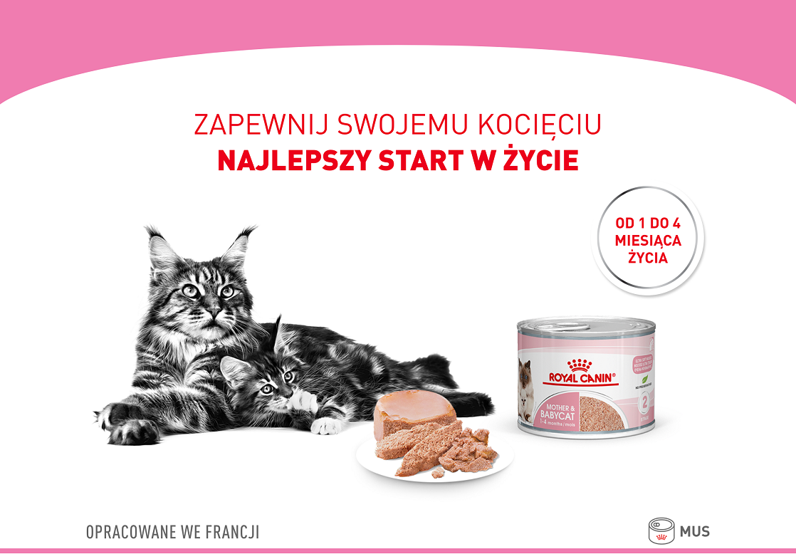 ROYAL CANIN Babycat Instinctive Mousse karma mokra mus dla kociąt od odsadzenia do 4 miesiąca życia