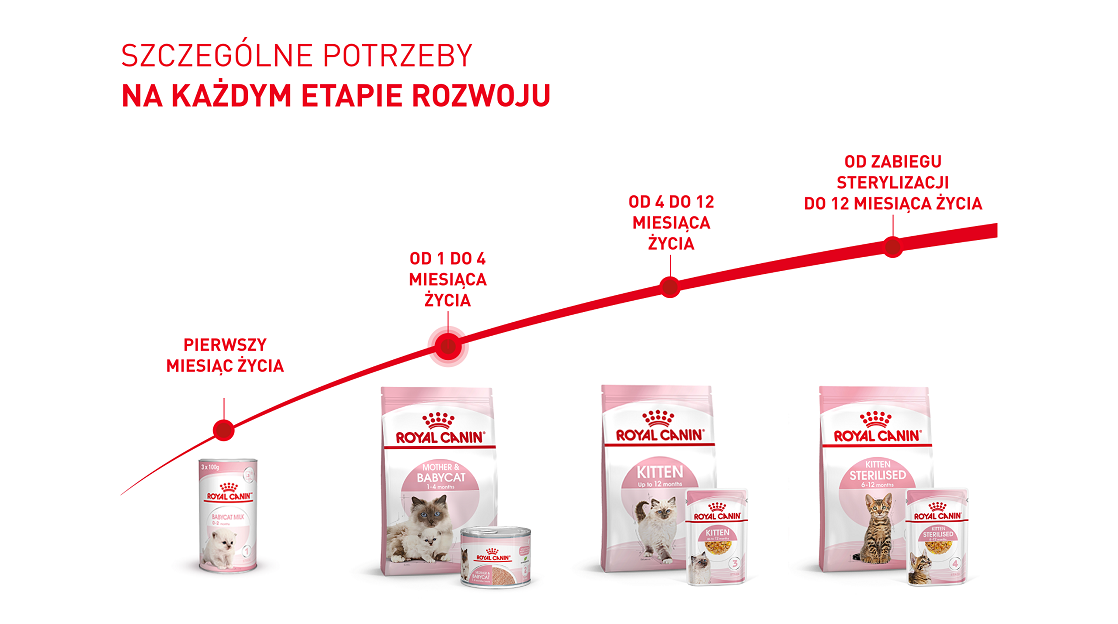 ROYAL CANIN Babycat Instinctive Mousse karma mokra mus dla kociąt od odsadzenia do 4 miesiąca życia