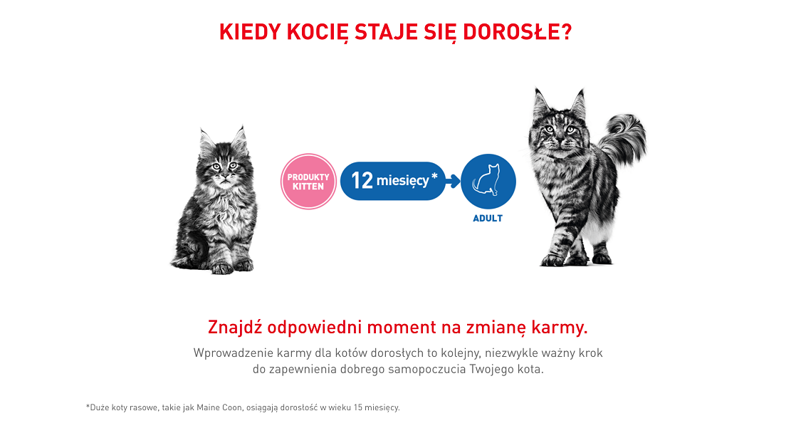 ROYAL CANIN Babycat Instinctive Mousse karma mokra mus dla kociąt od odsadzenia do 4 miesiąca życia