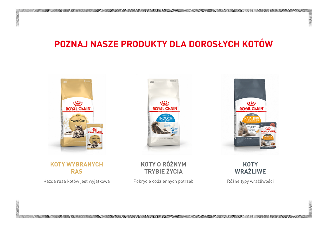 ROYAL CANIN Babycat Instinctive Mousse karma mokra mus dla kociąt od odsadzenia do 4 miesiąca życia
