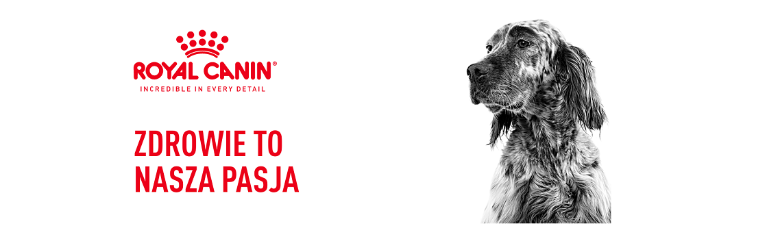 ROYAL CANIN Dog anallergenic 8 kg sucha karma dla dorosłych psów z alergią pokarmową z objawami dermatologicznymi i/lub żołądkowo-jelitowymi