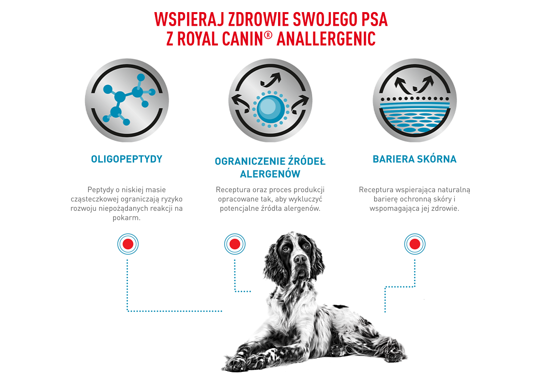 ROYAL CANIN Dog anallergenic 8 kg sucha karma dla dorosłych psów z alergią pokarmową z objawami dermatologicznymi i/lub żołądkowo-jelitowymi