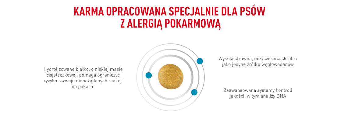 ROYAL CANIN Dog anallergenic 8 kg sucha karma dla dorosłych psów z alergią pokarmową z objawami dermatologicznymi i/lub żołądkowo-jelitowymi