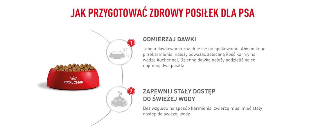 ROYAL CANIN Dog anallergenic 8 kg sucha karma dla dorosłych psów z alergią pokarmową z objawami dermatologicznymi i/lub żołądkowo-jelitowymi