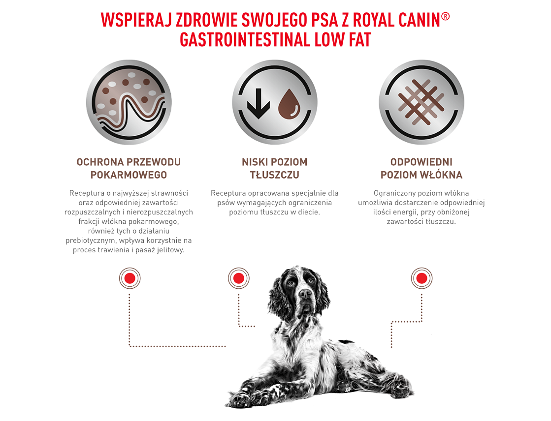 ROYAL CANIN Dog Gastro Intestinal Low Fat 