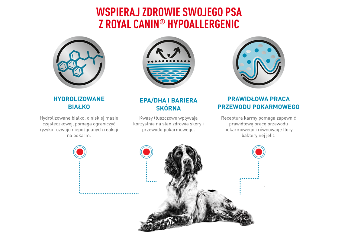 ROYAL CANIN Veterinary Dog Hypoallergenic sucha karma dla dorosłych psów z niepożądanymi reakcjami na pokarm 14 kg