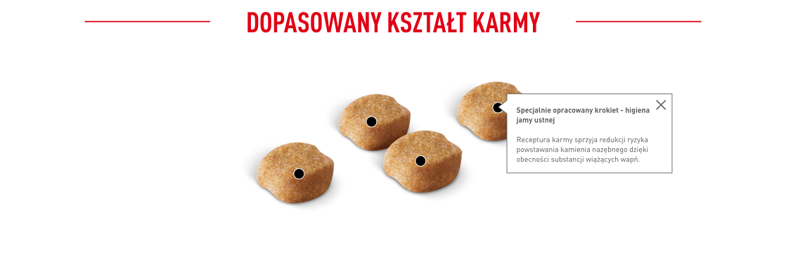 ROYAL CANIN Yorkshire Terrier Adult 7.5 kg karma sucha dla psów dorosłych rasy yorkshire terrier