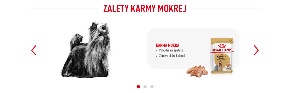 ROYAL CANIN Yorkshire Terrier Adult 7.5 kg karma sucha dla psów dorosłych rasy yorkshire terrier