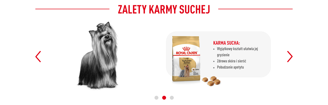 ROYAL CANIN Yorkshire Terrier Adult 7.5 kg karma sucha dla psów dorosłych rasy yorkshire terrier