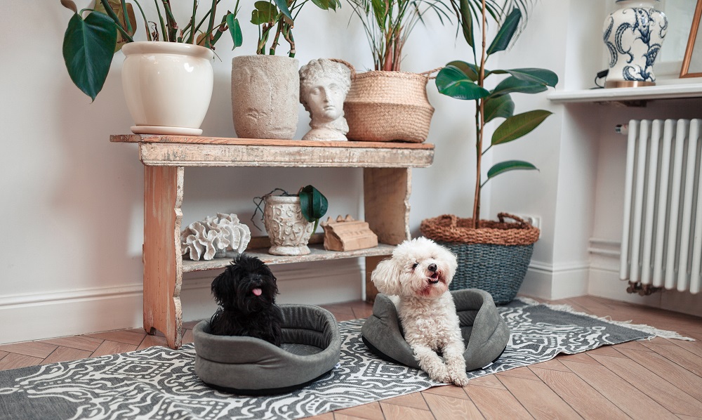 Legowisko owalne dla psów