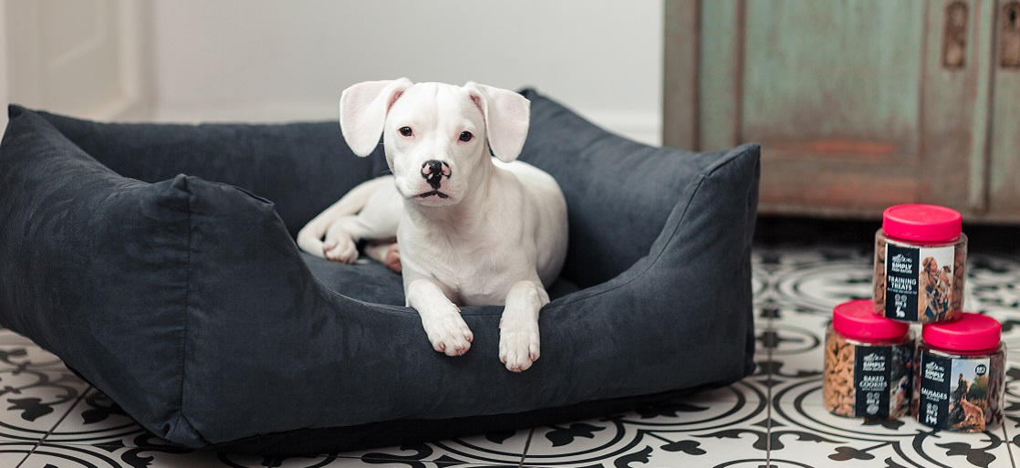 Fera Legowisko Shine