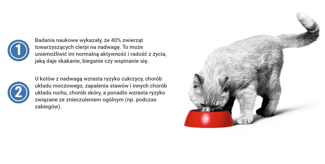 ROYAL CANIN  Light Weight Care 400 g karma sucha dla kotów dorosłych, utrzymanie prawidłowej masy ciała