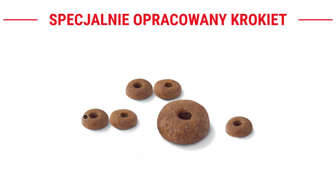 ROYAL CANIN  Light Weight Care 400 g karma sucha dla kotów dorosłych, utrzymanie prawidłowej masy ciała