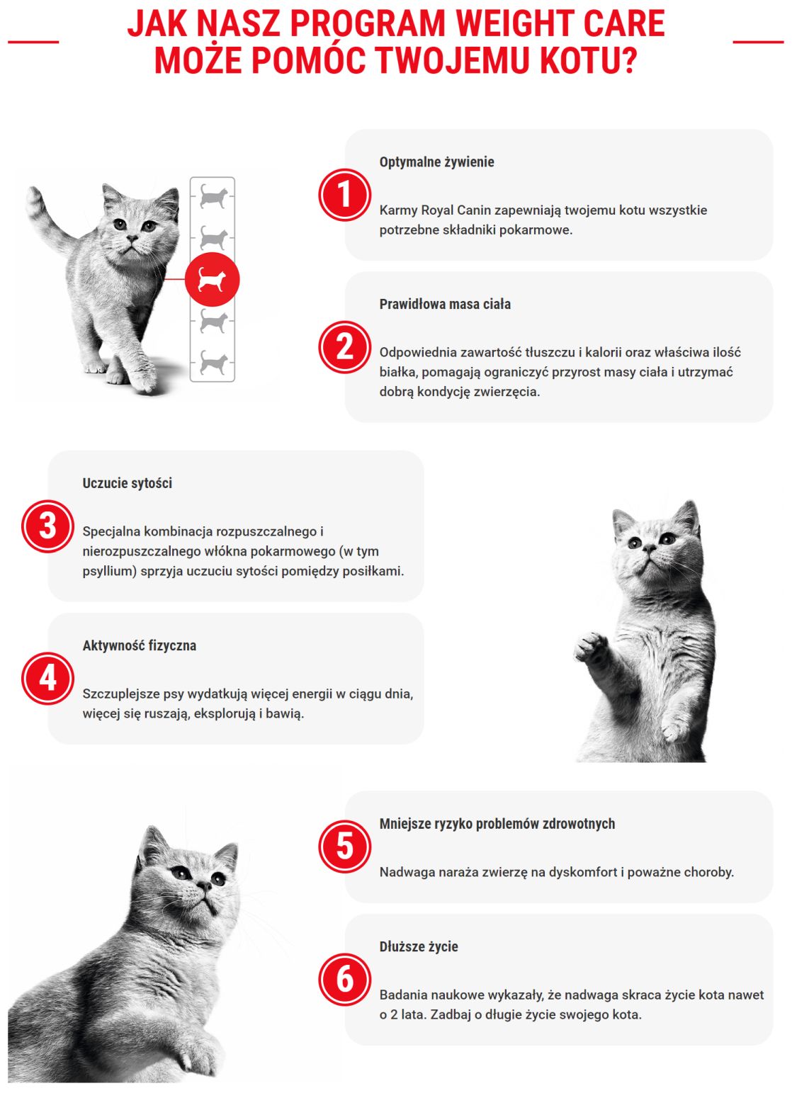 ROYAL CANIN  Light Weight Care 400 g karma sucha dla kotów dorosłych, utrzymanie prawidłowej masy ciała