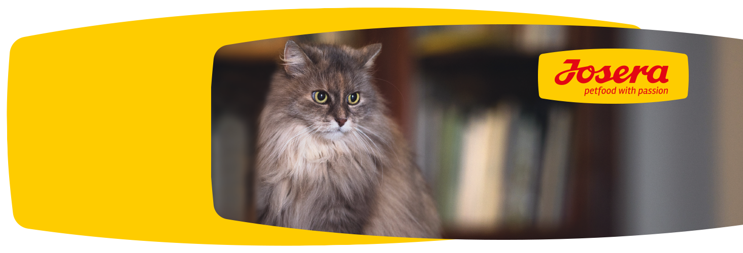 Dobry skład karmy - szczęśliwe zwierzę