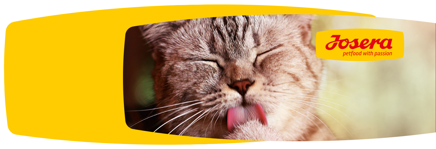 Dobry skład karmy - szczęśliwe zwierzę