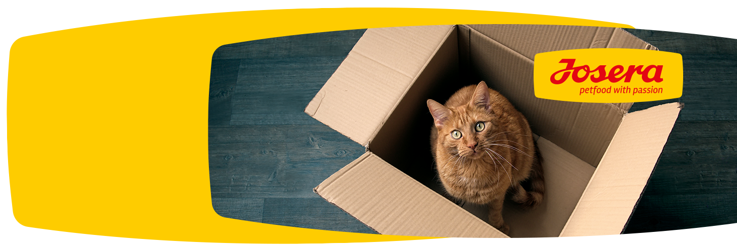 Dobry skład karmy - szczęśliwe zwierzę