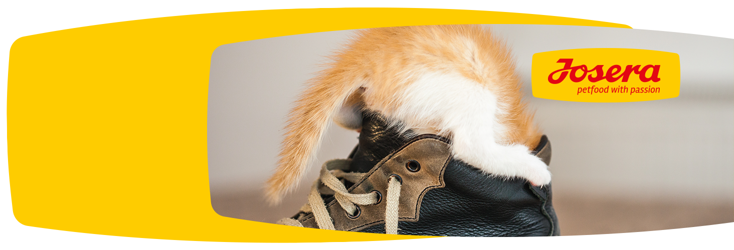 Dobry skład karmy - szczęśliwe zwierzę