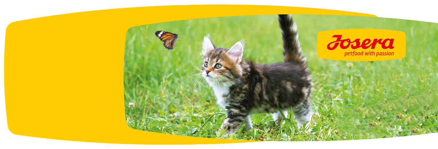 Dobry skład karmy - szczęśliwe zwierzę