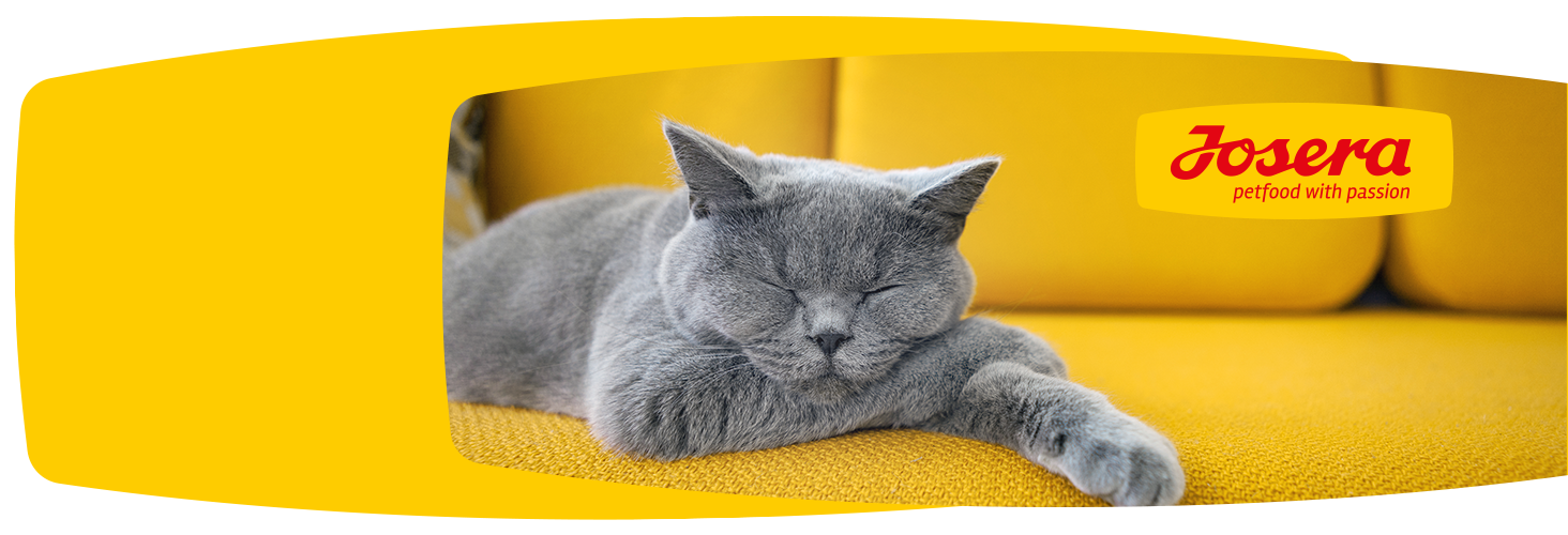 Dobry skład karmy - szczęśliwe zwierzę