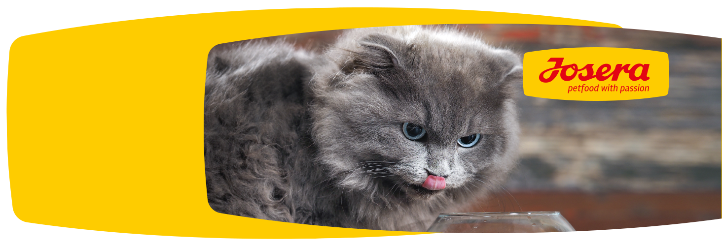 Dobry skład karmy - szczęśliwe zwierzę