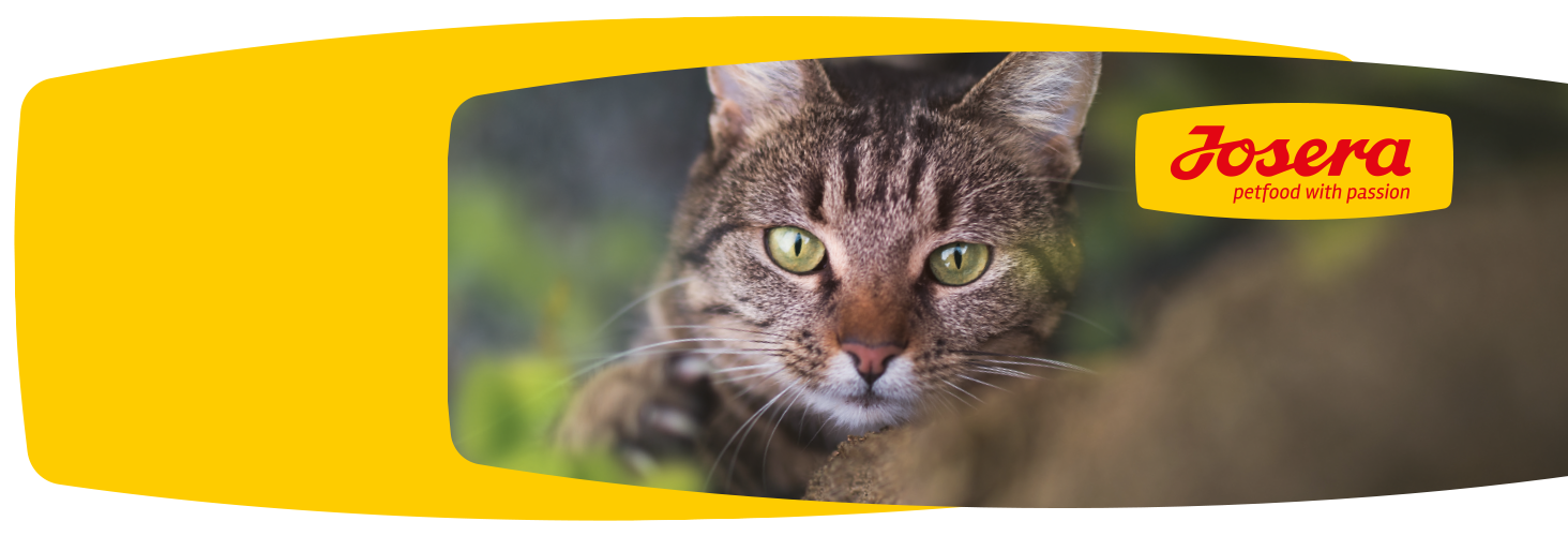 Dobry skład karmy - szczęśliwe zwierzę