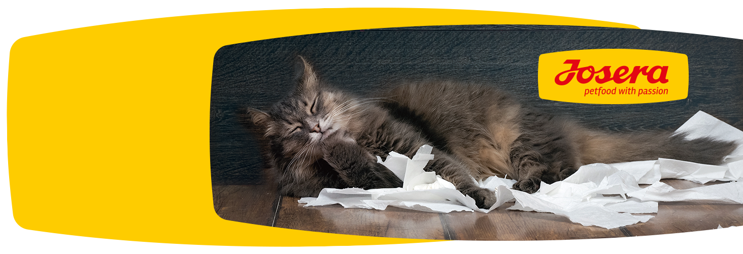 Dobry skład karmy - szczęśliwe zwierzę