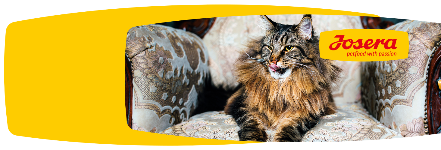 Dobry skład karmy - szczęśliwe zwierzę