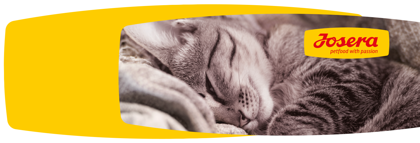 Dobry skład karmy - szczęśliwe zwierzę