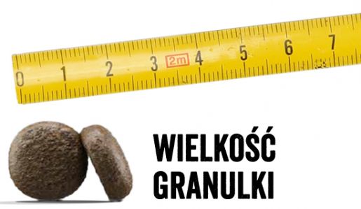 rzeczywista wielkość
