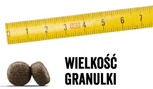 rzeczywista wielkość