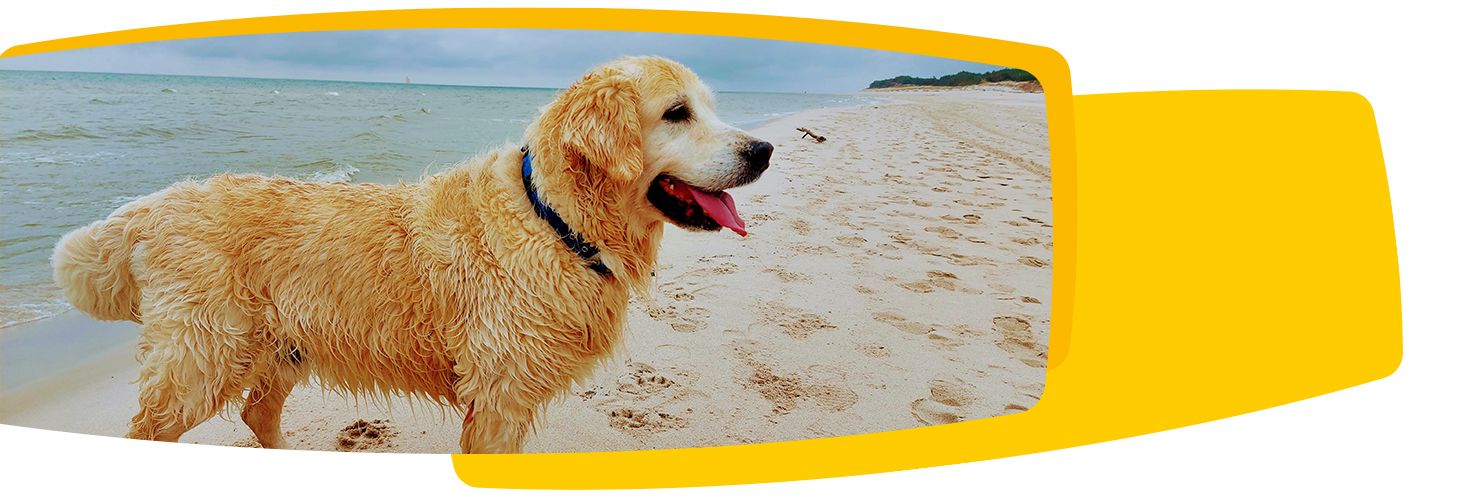 Josera - film produktowy Josera - film produktowy