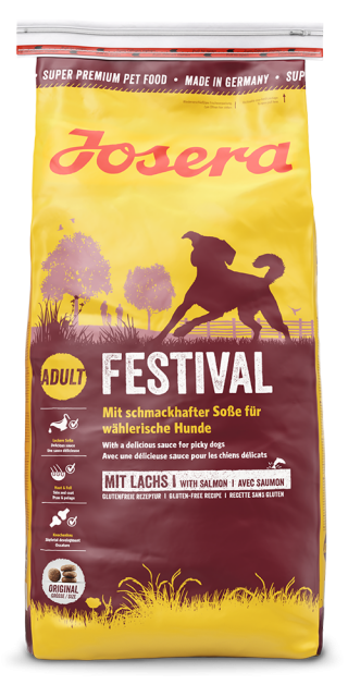 Festival Festival