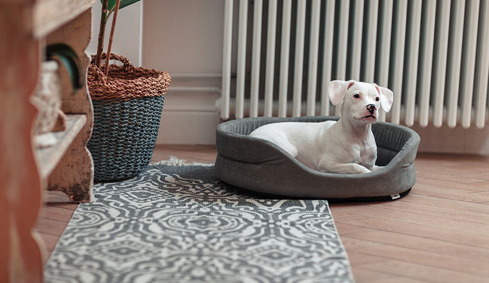 Owalne legowisko z poduszką dla psa