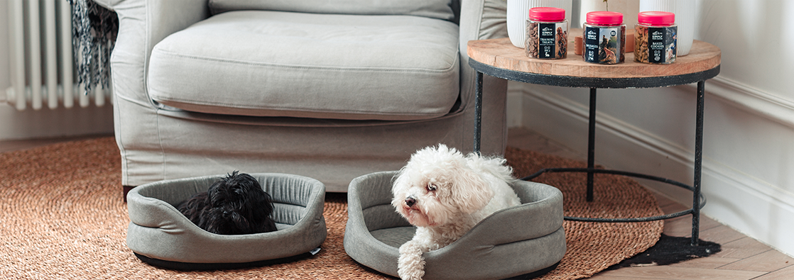 Legowiska owalne dla psów