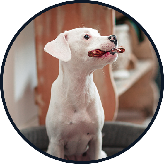 SIMPLY FROM NATURE Naturalne cygara z mięsem jelenia 7 szt.