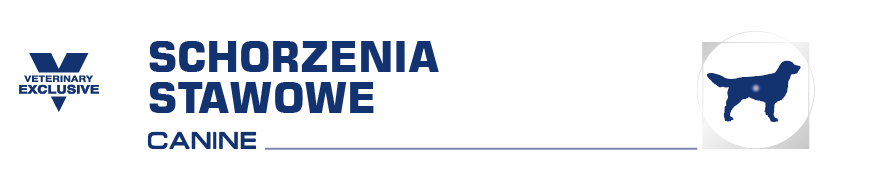 ROYAL CANIN VHN Dog Mobility Support 2 kg sucha karma dla dorosłych psów ze schorzeniami stawowymi