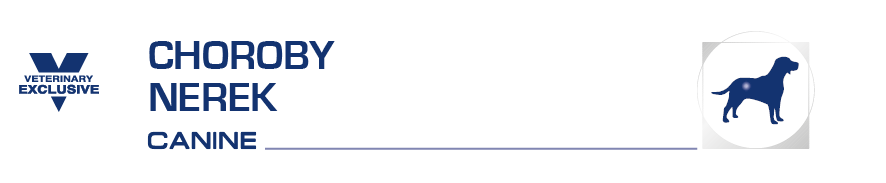 ROYAL CANIN Renal Select Canine 2 kg sucha karma dla psów z przewlekłą niewydolnością nerek