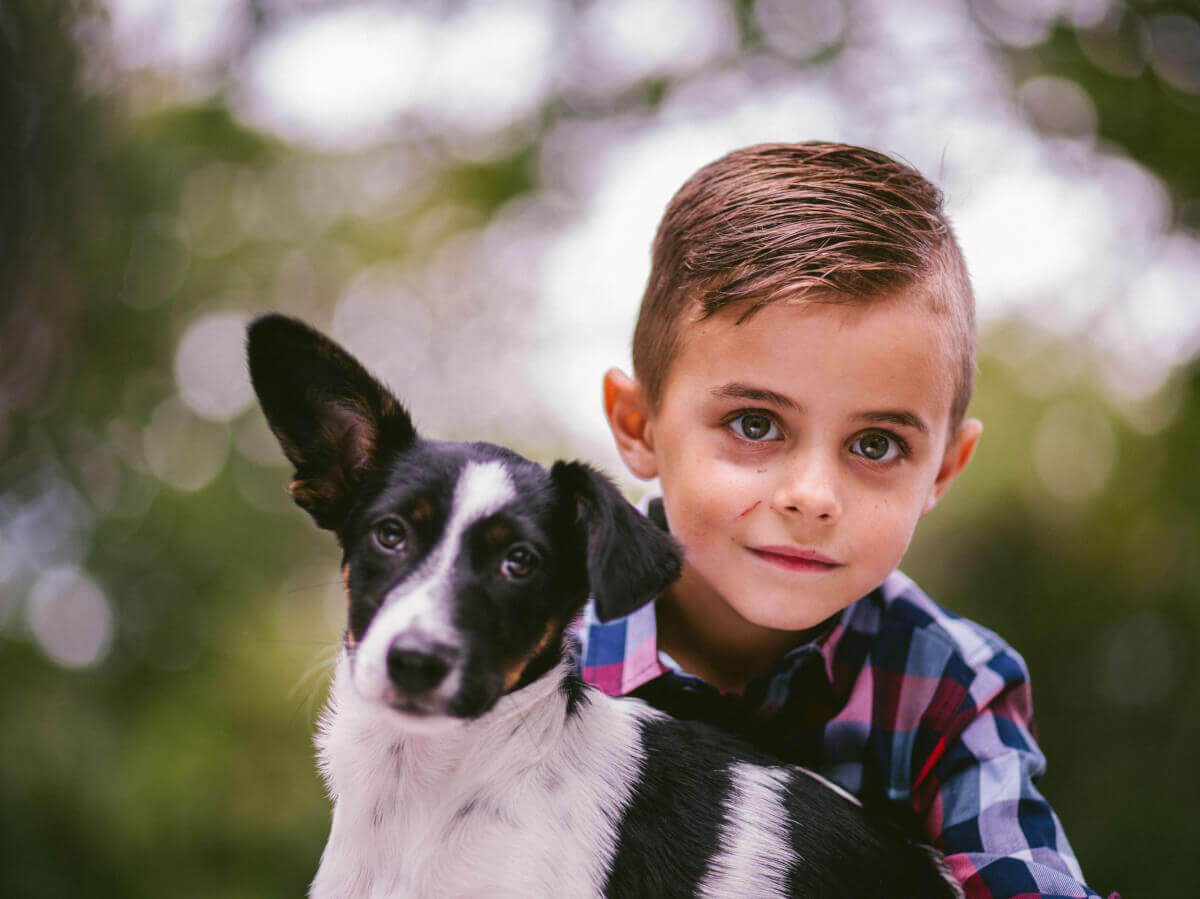 Szczeniak w domu część 1 - Wybór psa