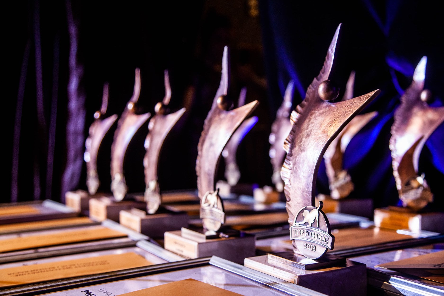 Fera.pl kolejny raz najlepszym sklepem internetowym w plebiscycie TOP FOR DOG!