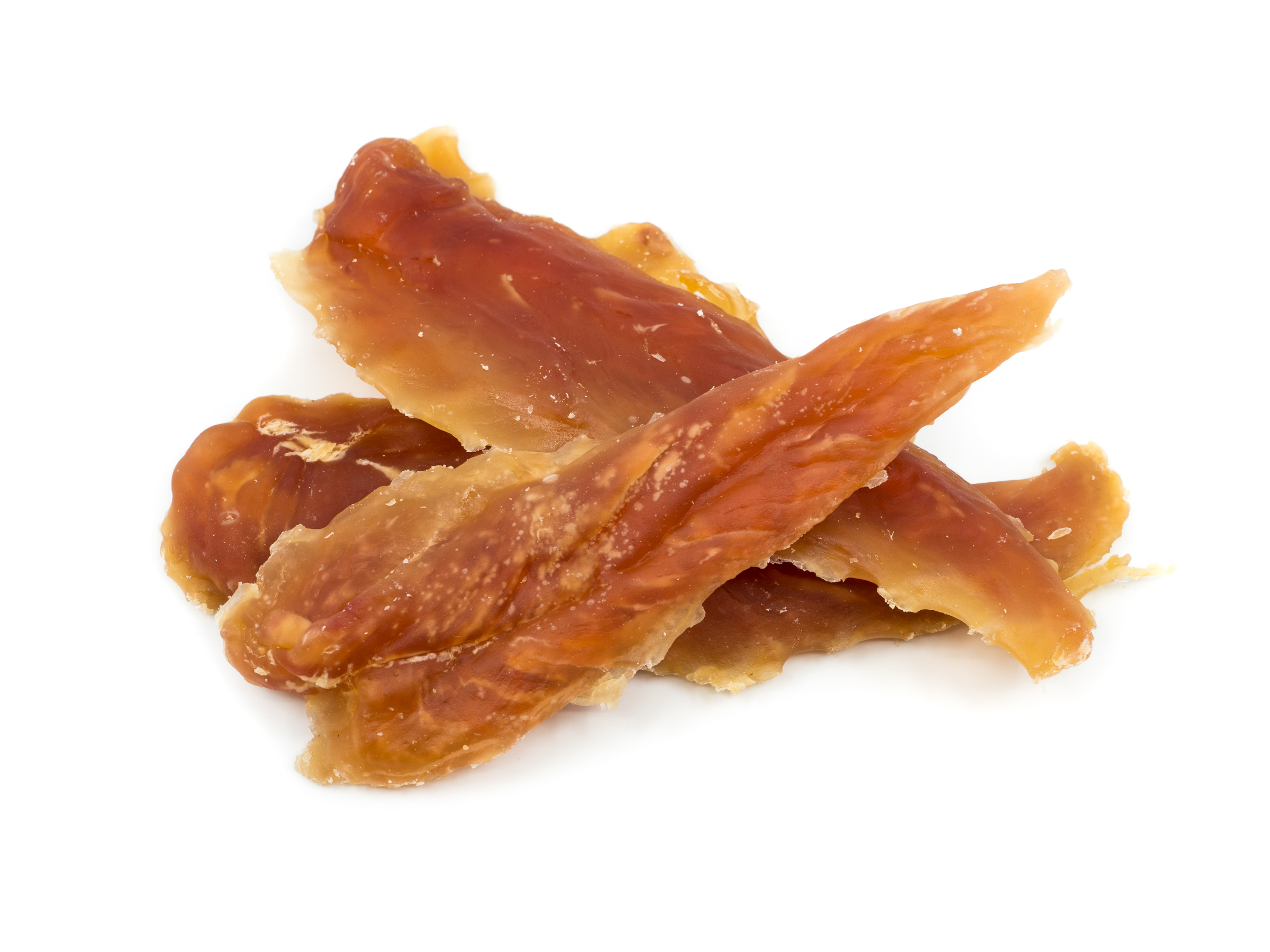 Drób w diecie psa i kota - fakty i mity