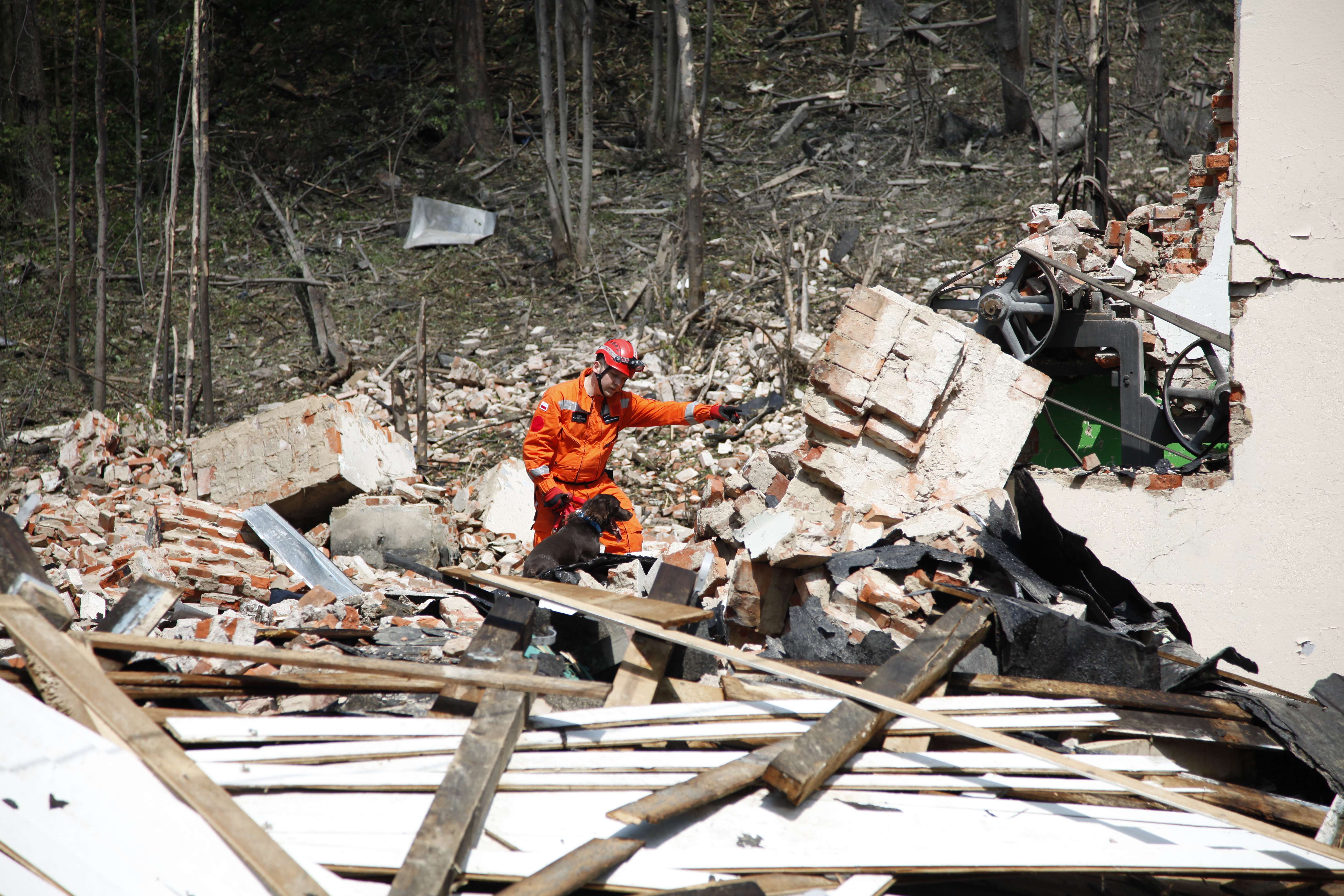 Psy, które ratują życie! Poznaj pracę psów ratowników